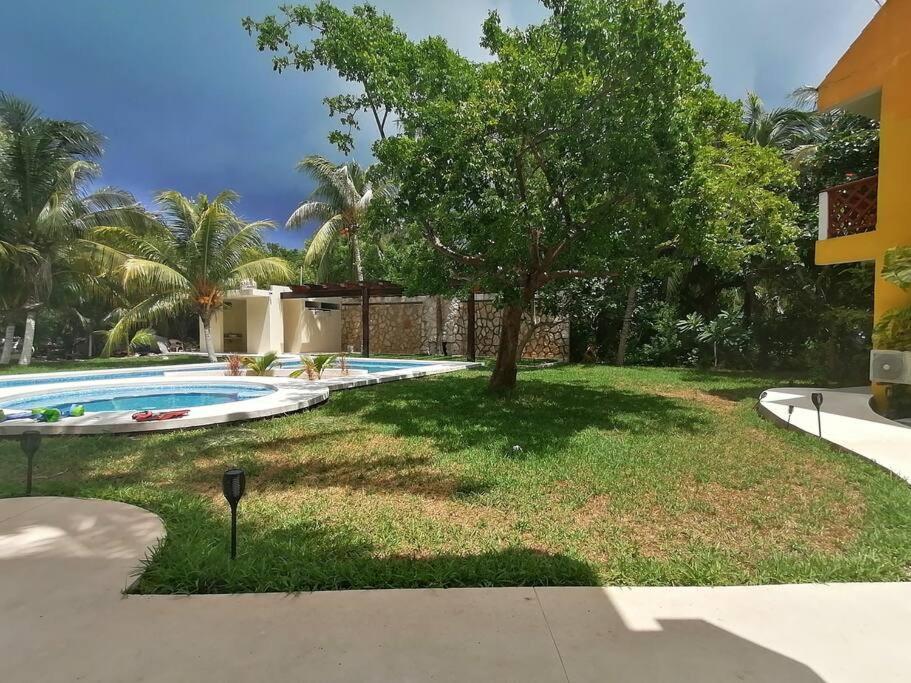 Marysol Great Views Beachfront Next To Nomads D3 Isla Mujeres Exterior foto