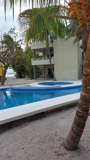 Marysol Great Views Beachfront Next To Nomads D3 Isla Mujeres Exterior foto
