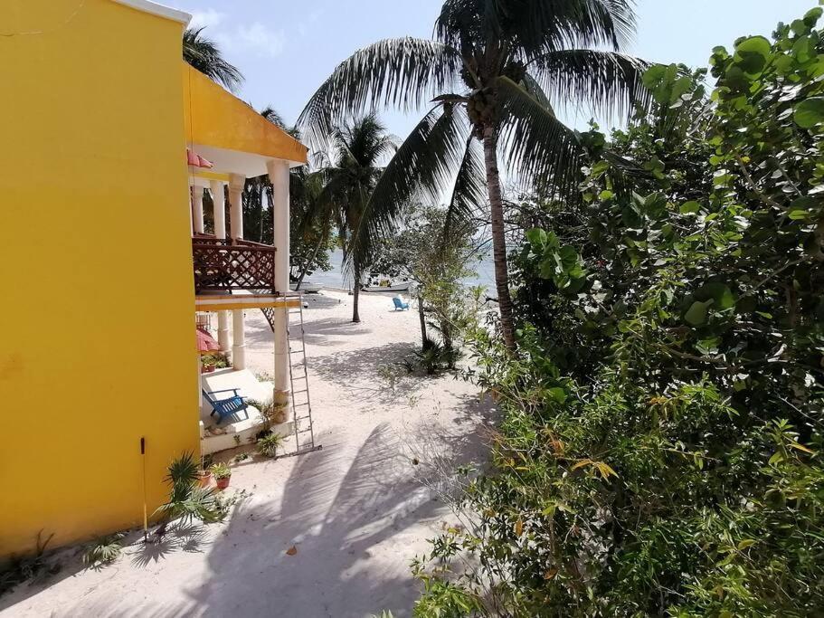 Marysol Great Views Beachfront Next To Nomads D3 Isla Mujeres Exterior foto