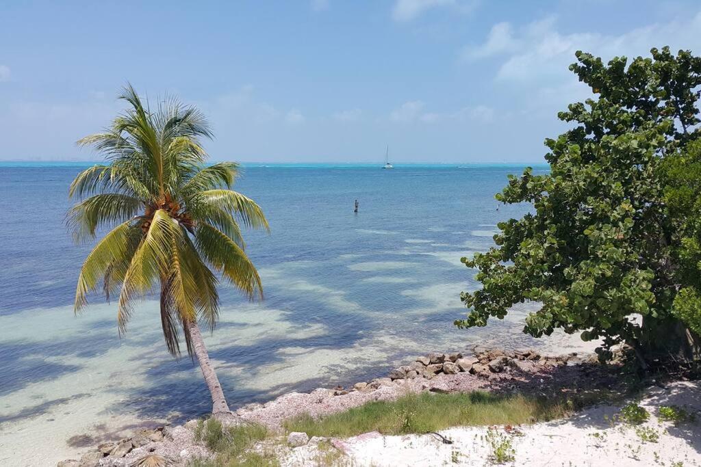Marysol Great Views Beachfront Next To Nomads D3 Isla Mujeres Exterior foto